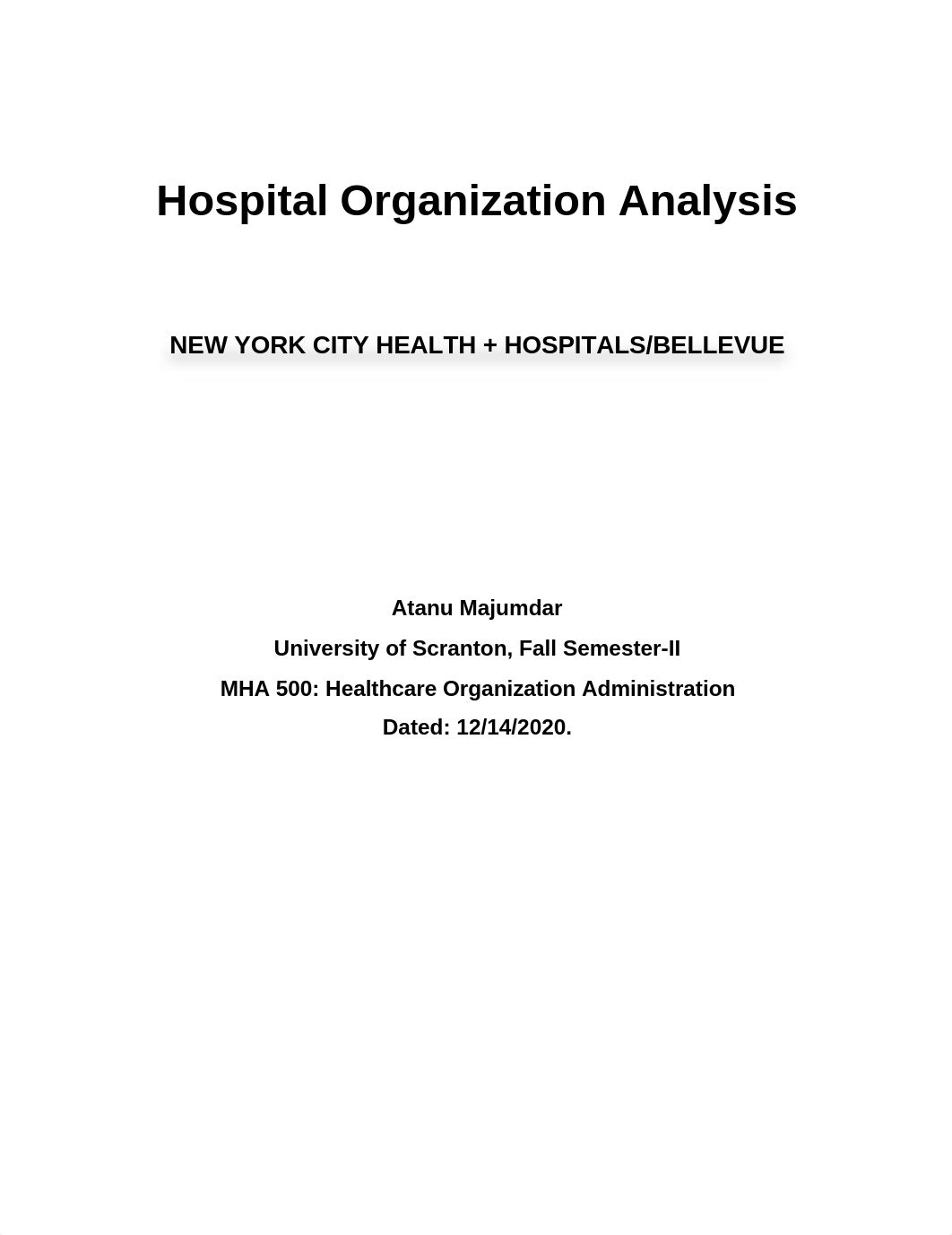 Healthcare Organization Project Final.docx_dzcbfit2sjp_page1