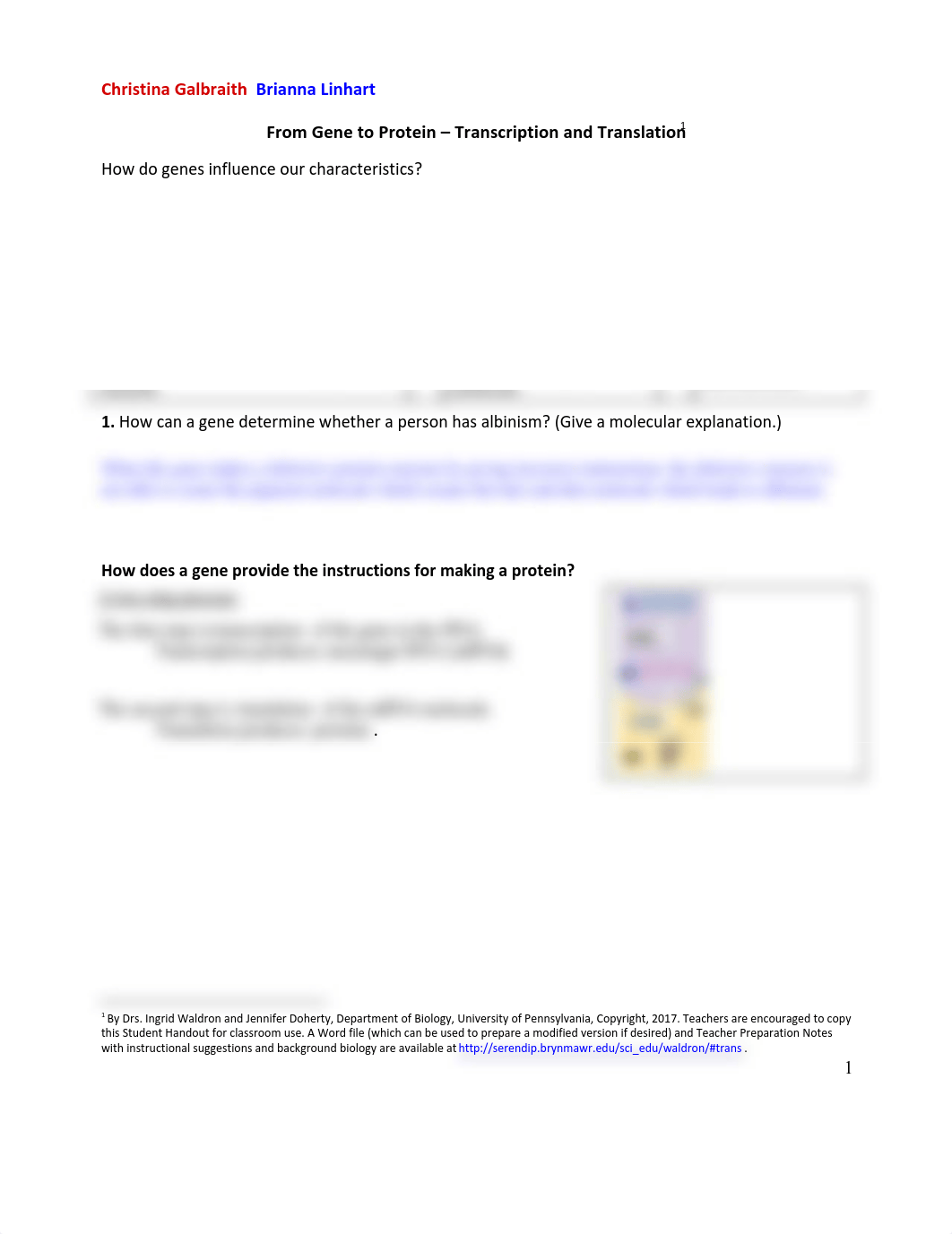 TranscriptionTranslationProtocol Christina Galbraith and Brianna Linhart.pdf_dzcbqllh25f_page1