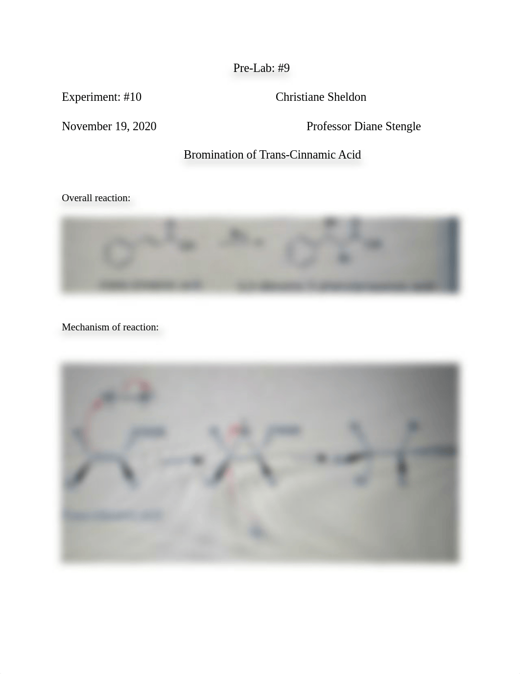 Chem 221 Lab #10 Bromination of Trans-Cinnamic Acid.asd.docx_dzciti5viul_page1