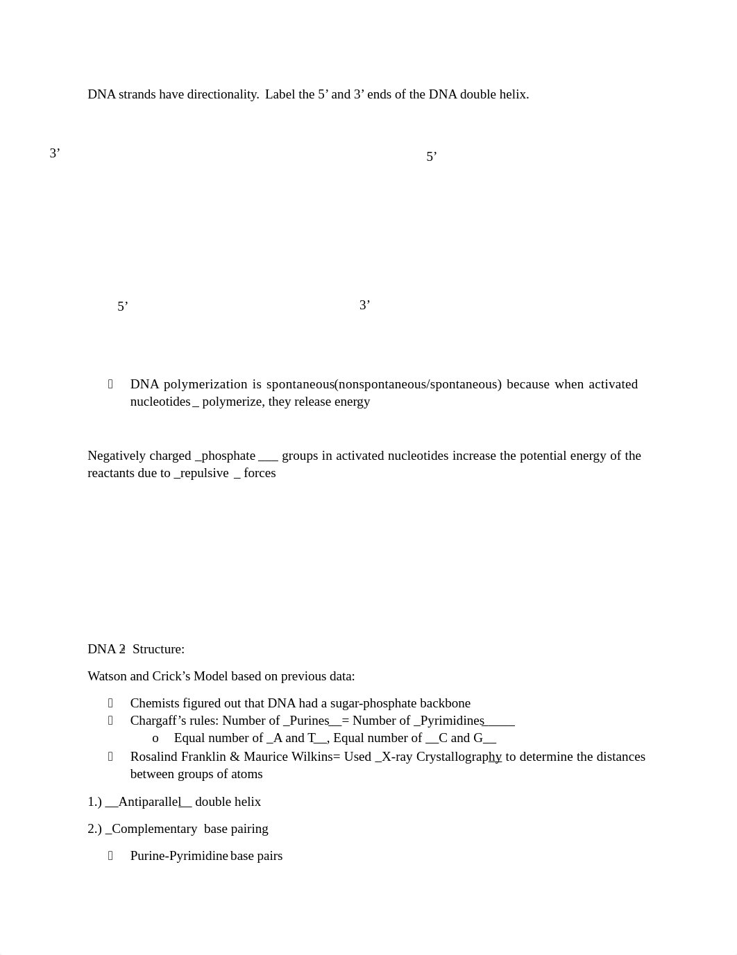 Exam #2 Answer Key.docx_dzcq8hrarqd_page3