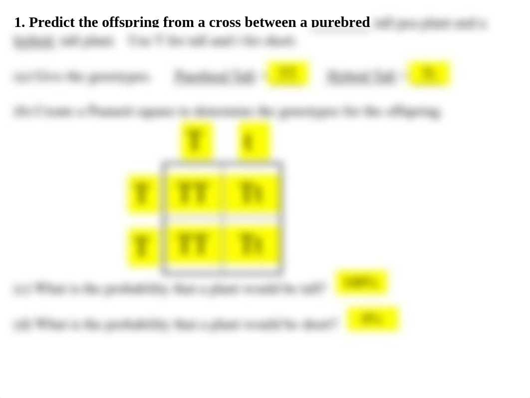 Copy of Punnett1_dzcuadmvkq0_page3