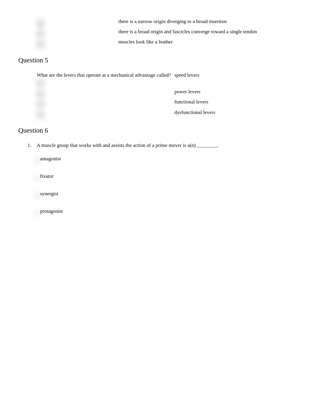 Study Guide 10_dzczhgansjd_page2