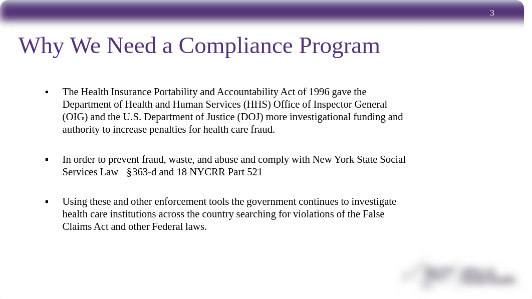 Medicaid Compliance Training 2019.pdf_dzd3fm85kt8_page3