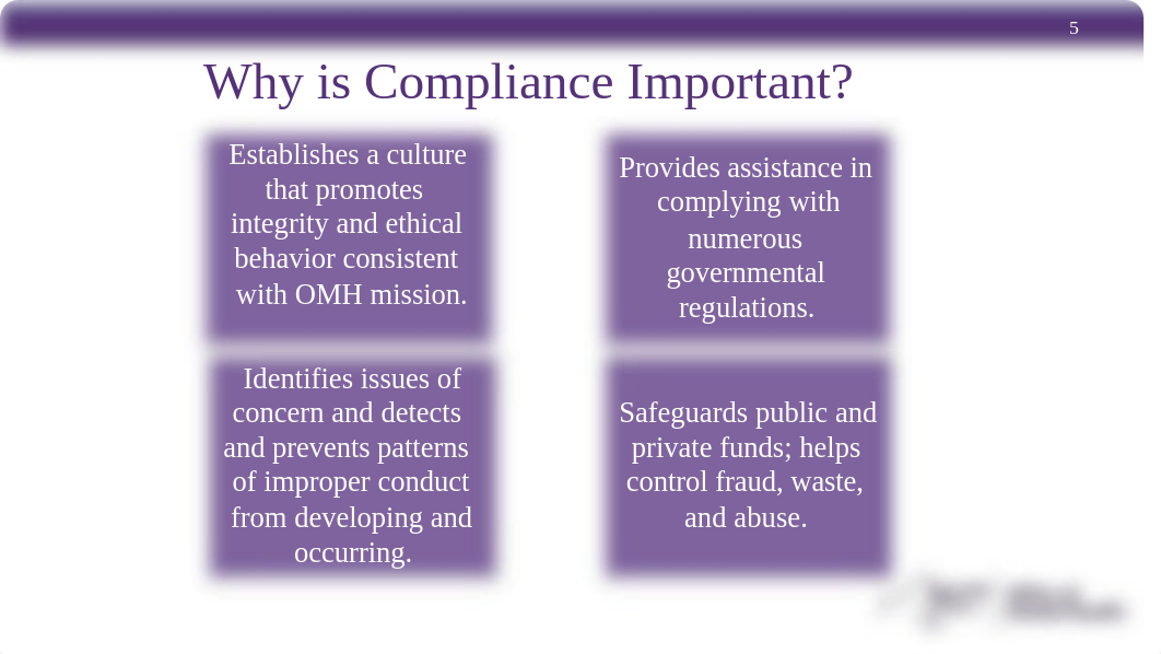 Medicaid Compliance Training 2019.pdf_dzd3fm85kt8_page5