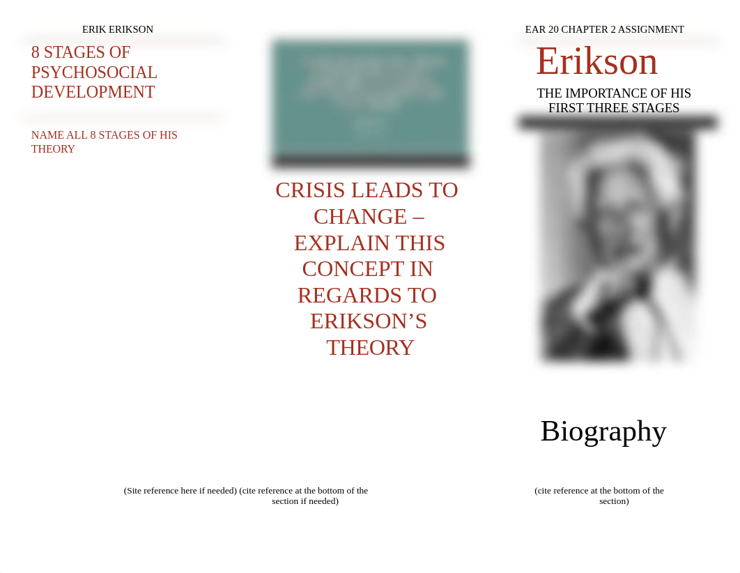 ERIK ERIKSON PAMPHLET ASSIGNMENT EXAMPLE 2-11-18.docx_dzd3r8u27p5_page1