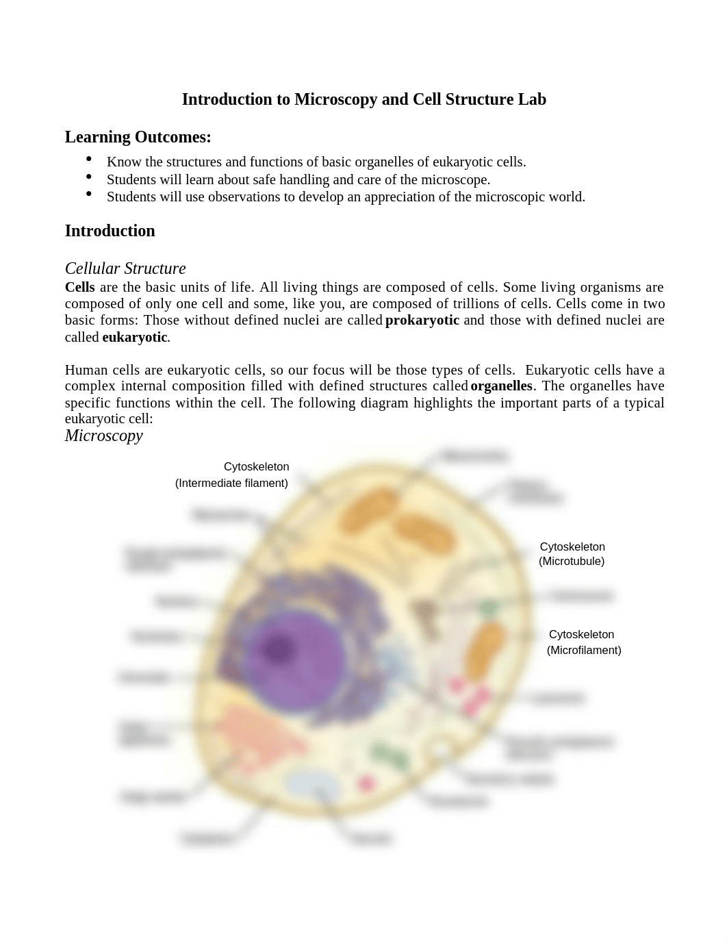 Intro to Microscopy and Cells Lab_dzdf2orxgsk_page1