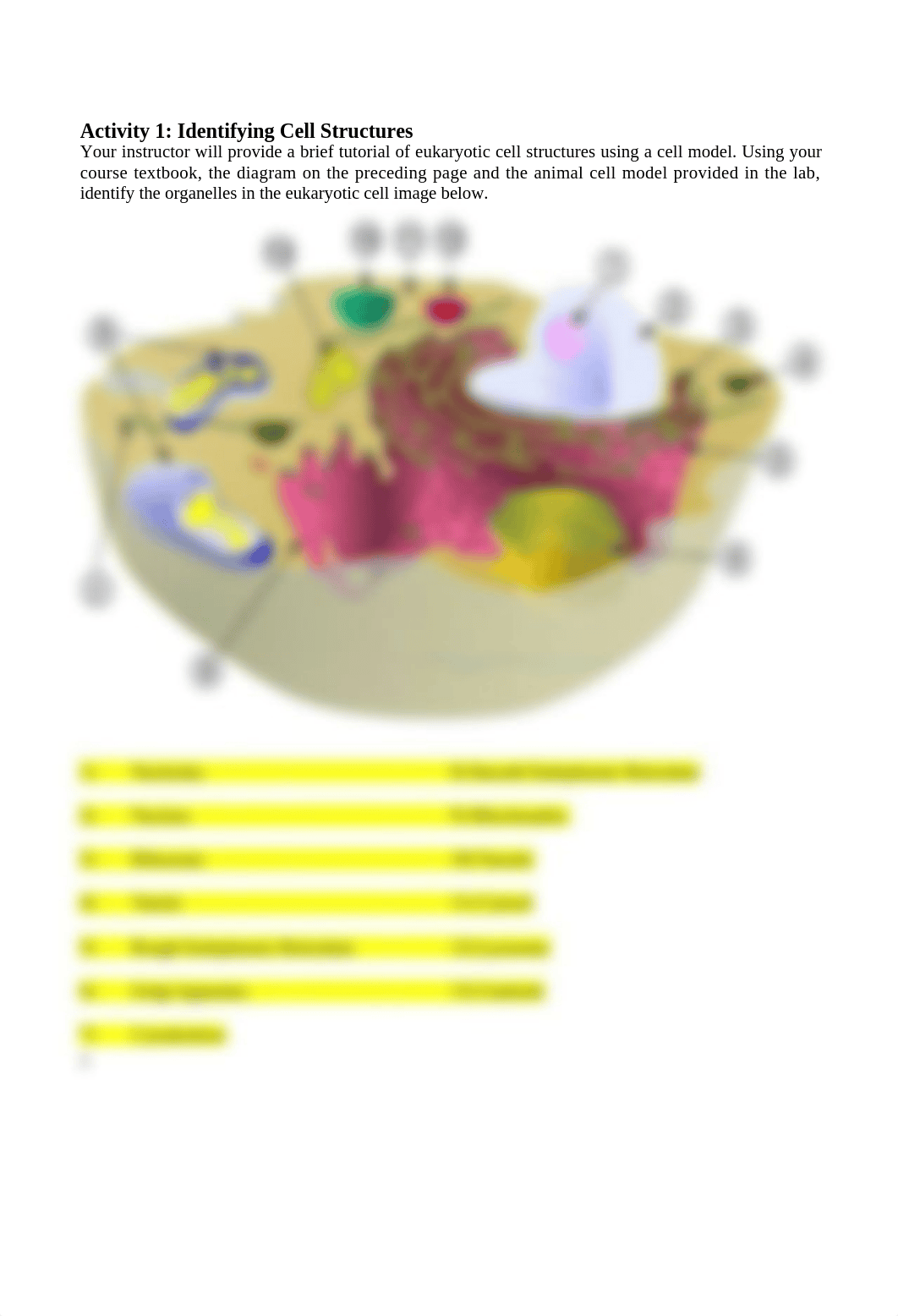 Intro to Microscopy and Cells Lab_dzdf2orxgsk_page3