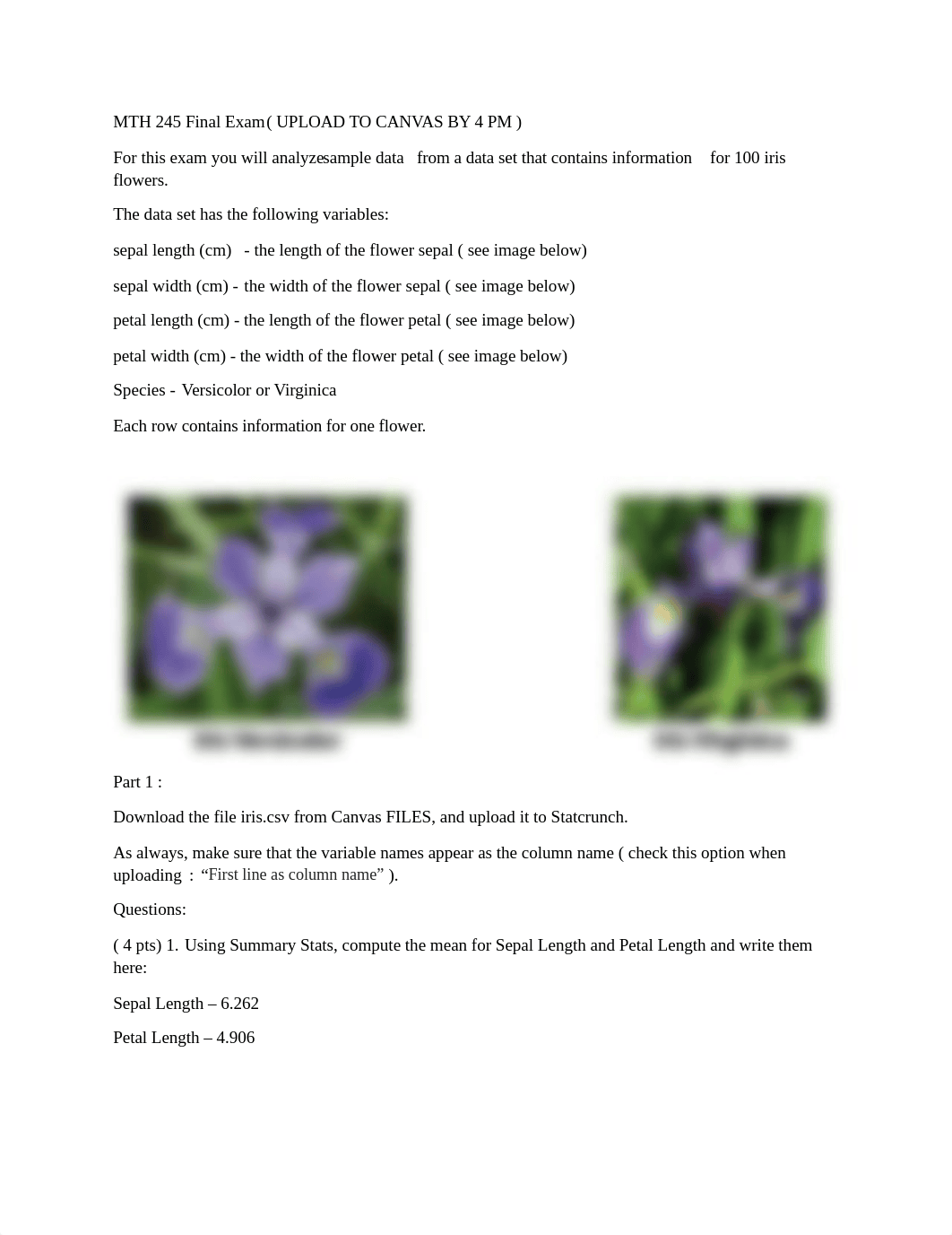 mth_245_final_examb.docx_dzdgogt0rs6_page1