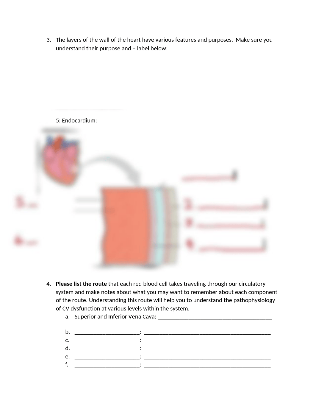 Week 7- Exam 3 Study Guide.docx_dzdiopdzx4c_page2