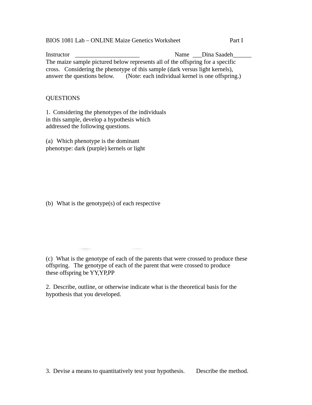 Online Maize Genetics Worksheet (1)-Dina.docx_dzdknq7xck6_page1