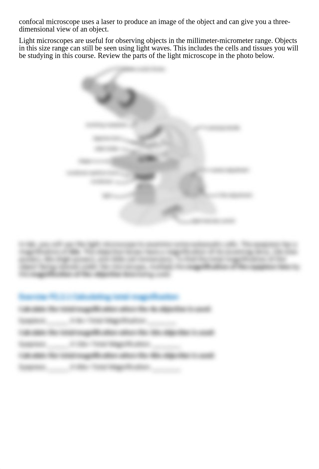 A&P1 Microscopy & Measurements- In Person Lab (2).pdf_dzdmr1xvkb2_page3