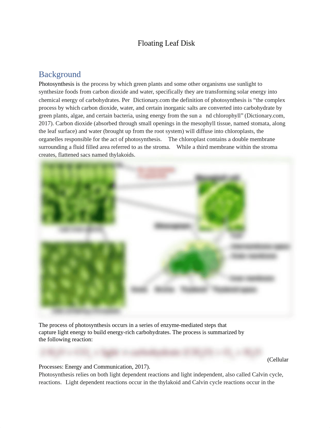 Floating Leaf Disk lab .pdf_dzdodelya4a_page1