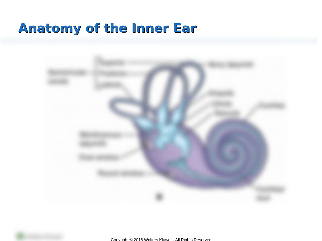 Assessment and Management of Patients With Hearing and Balance Disorders(1)-2.pptx_dzdryxp70at_page5