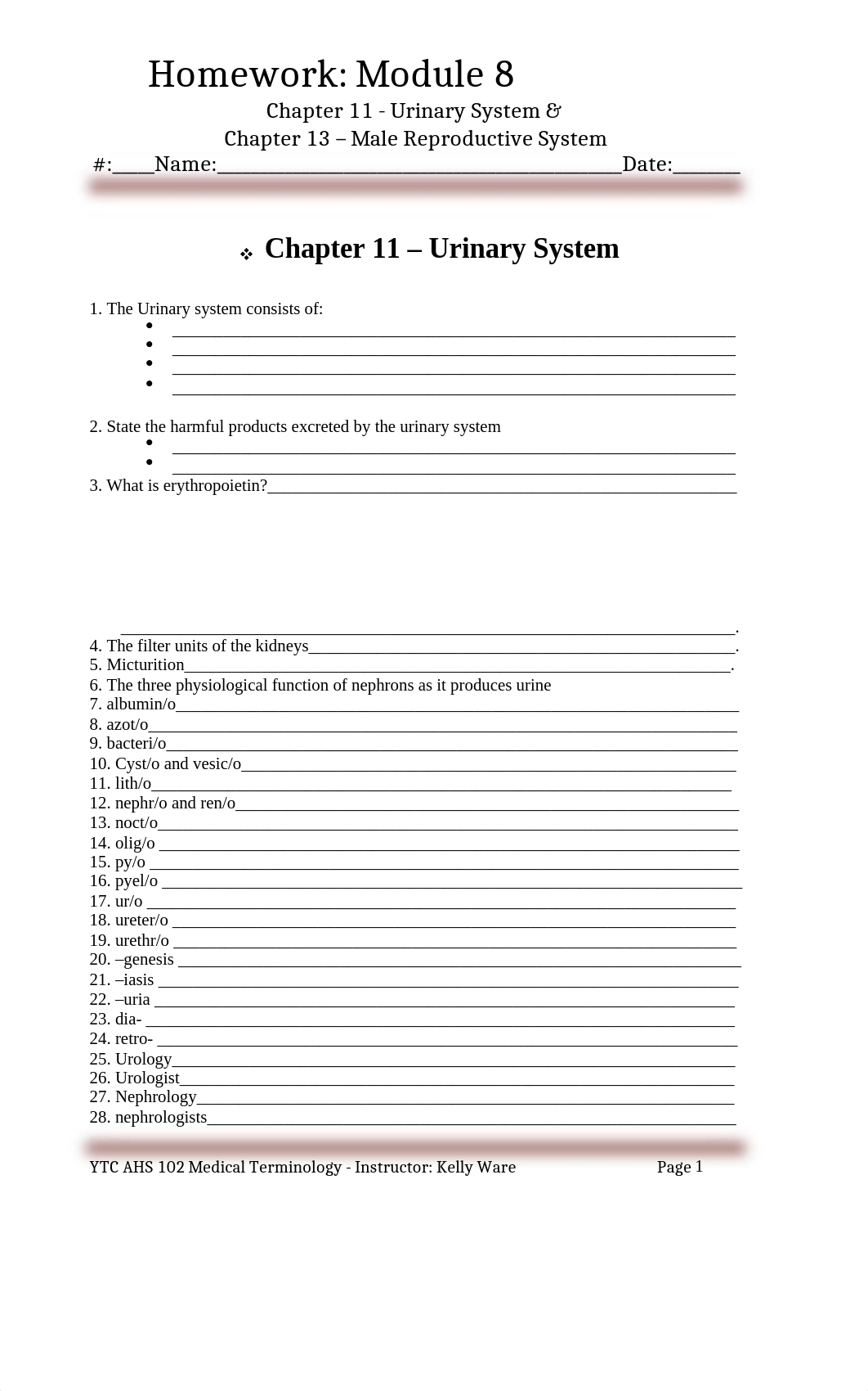 Module_8_SG_Chapters_11_Urinary_System._Chapter_13_Male_Reproductive_System[1].doc_dze2o4ikcg2_page1