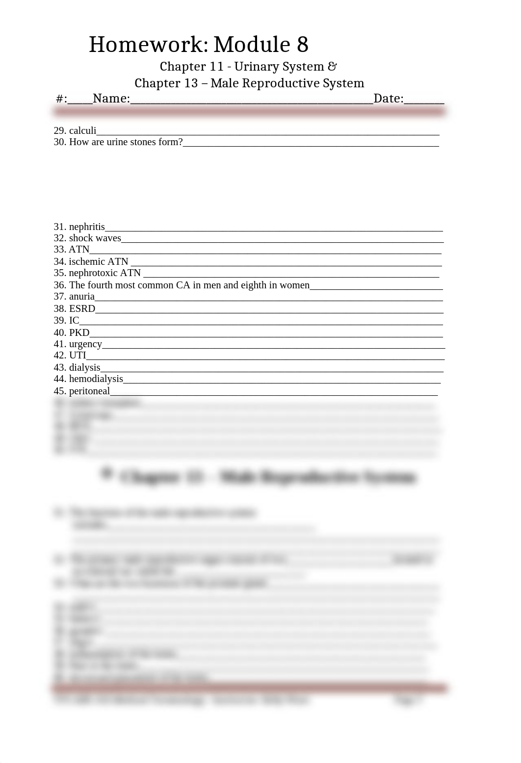 Module_8_SG_Chapters_11_Urinary_System._Chapter_13_Male_Reproductive_System[1].doc_dze2o4ikcg2_page2