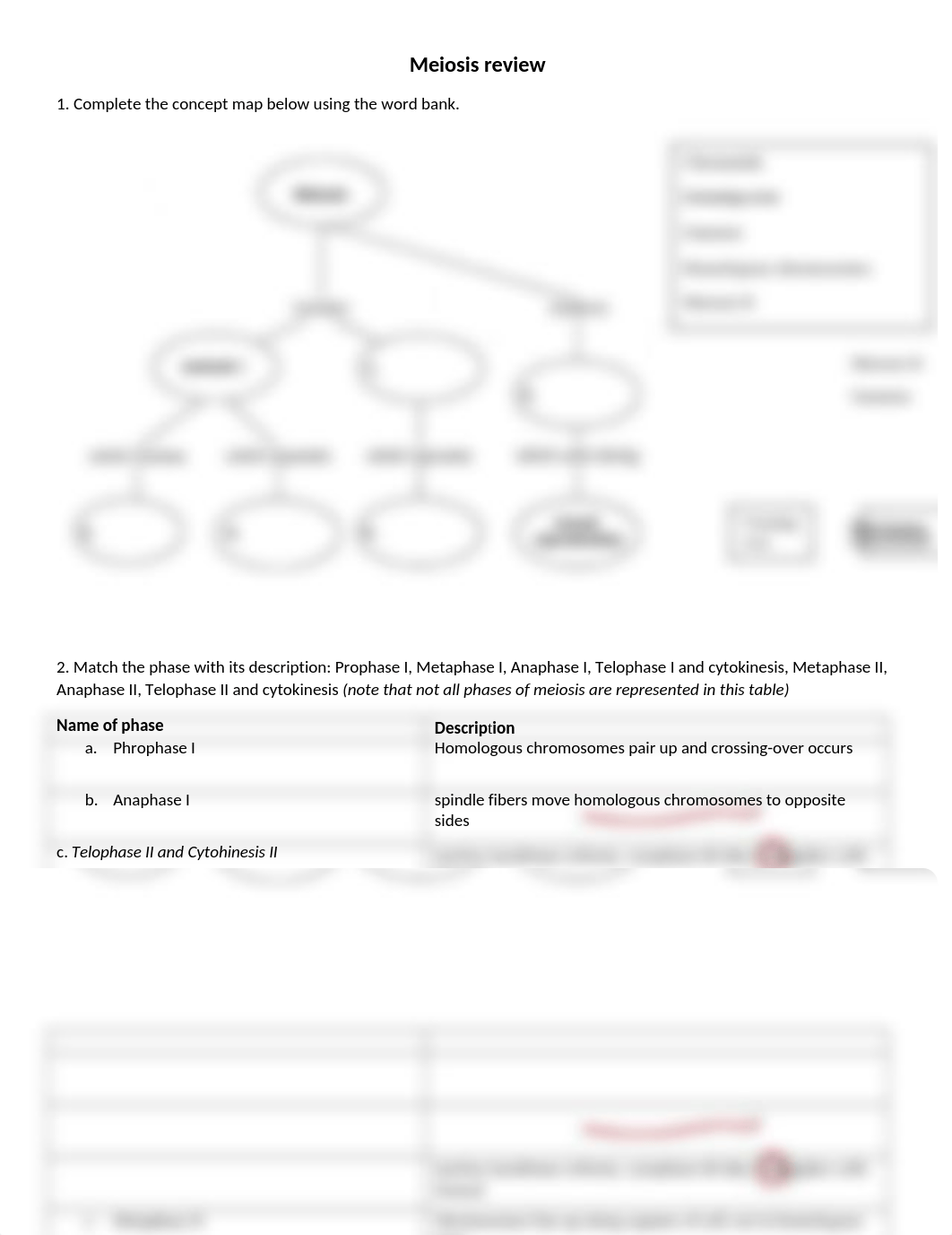 meiosis review.docx_dze7uk8r27p_page1