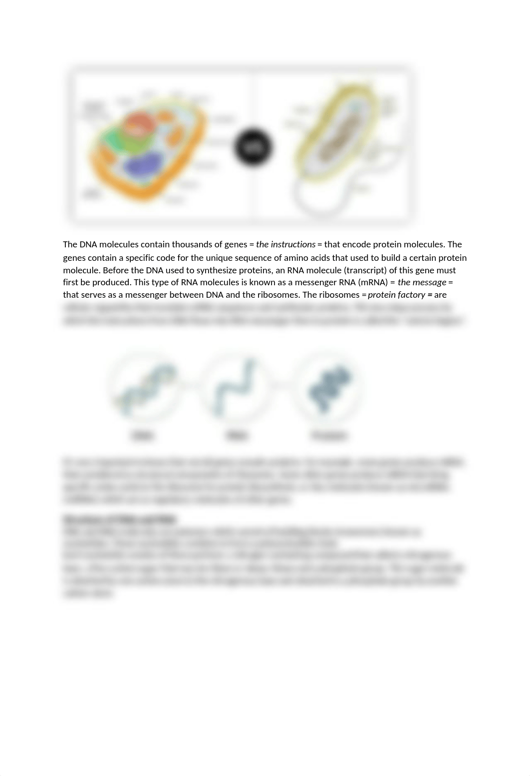 DNA and RNA Structure Guided Notes.docx_dze9ww26q7l_page2