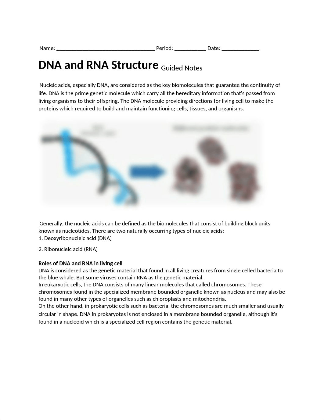 DNA and RNA Structure Guided Notes.docx_dze9ww26q7l_page1