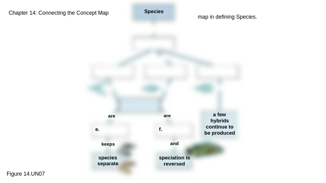 Week 2 Concept Maps Chapters 14 and 15_dzeb2435y3x_page1