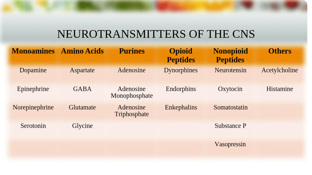 Neuro Drugs.pptx_dzf0e4zyup8_page4