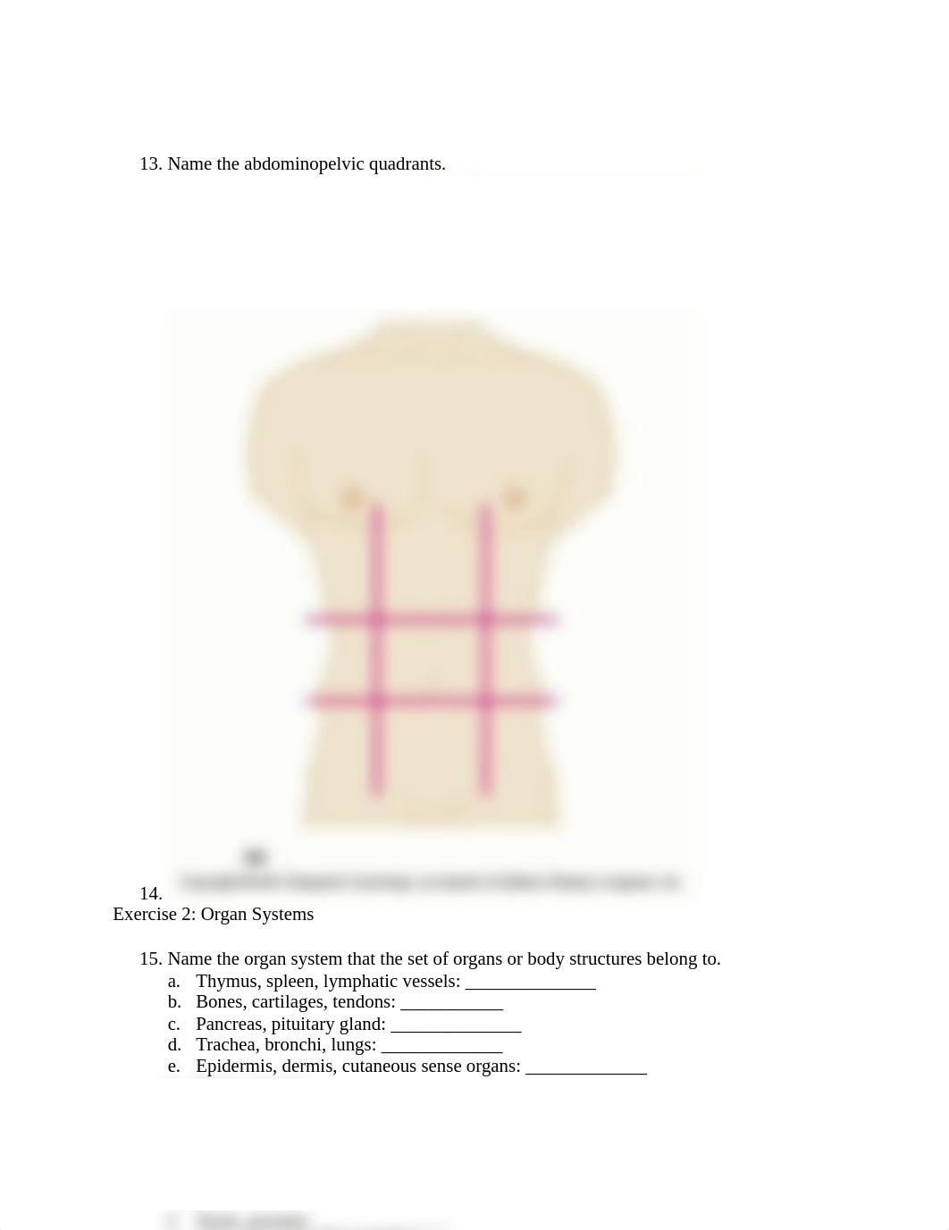 a&p lab exam 1 study guide  (1).docx_dzf2tca77el_page3