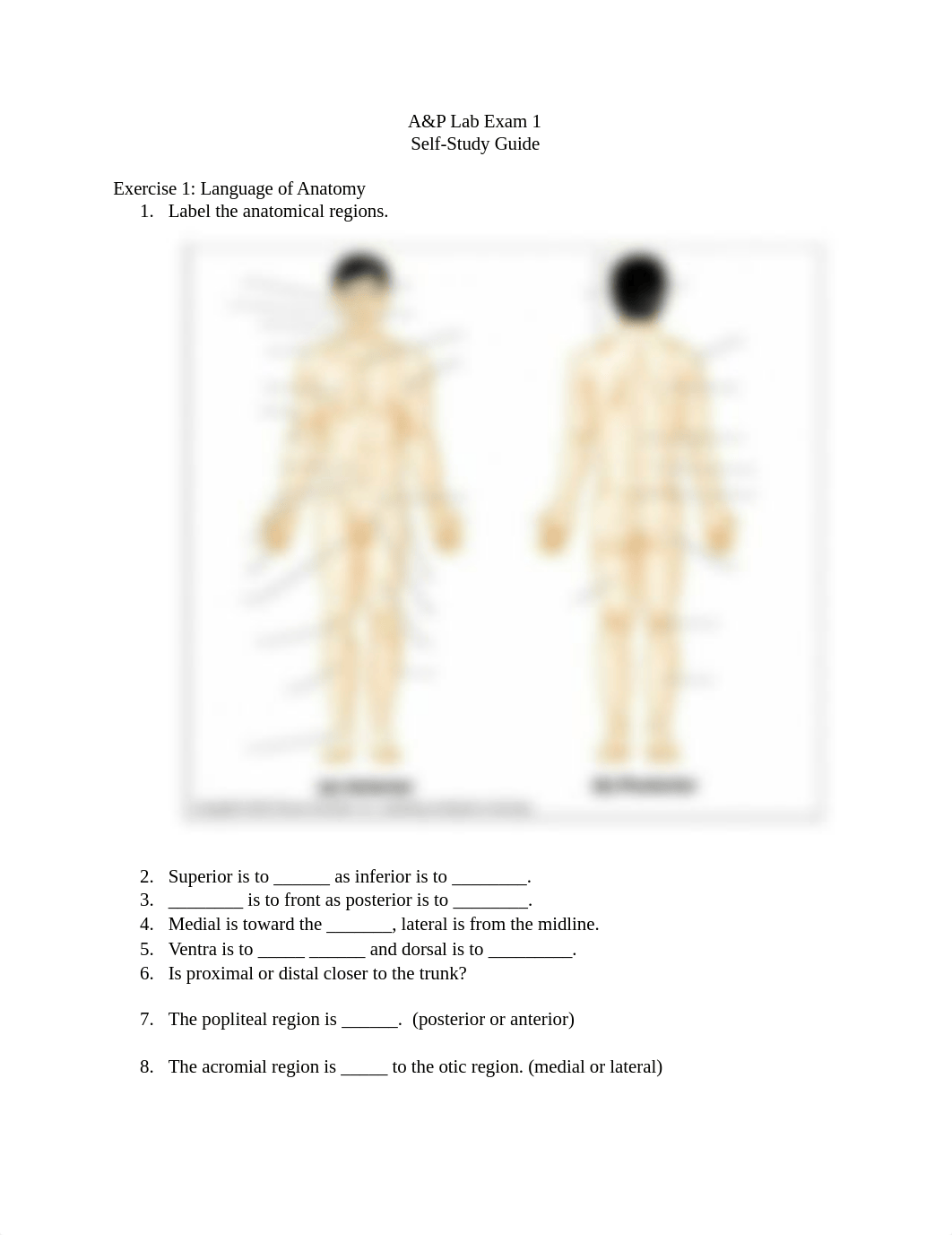 a&p lab exam 1 study guide  (1).docx_dzf2tca77el_page1