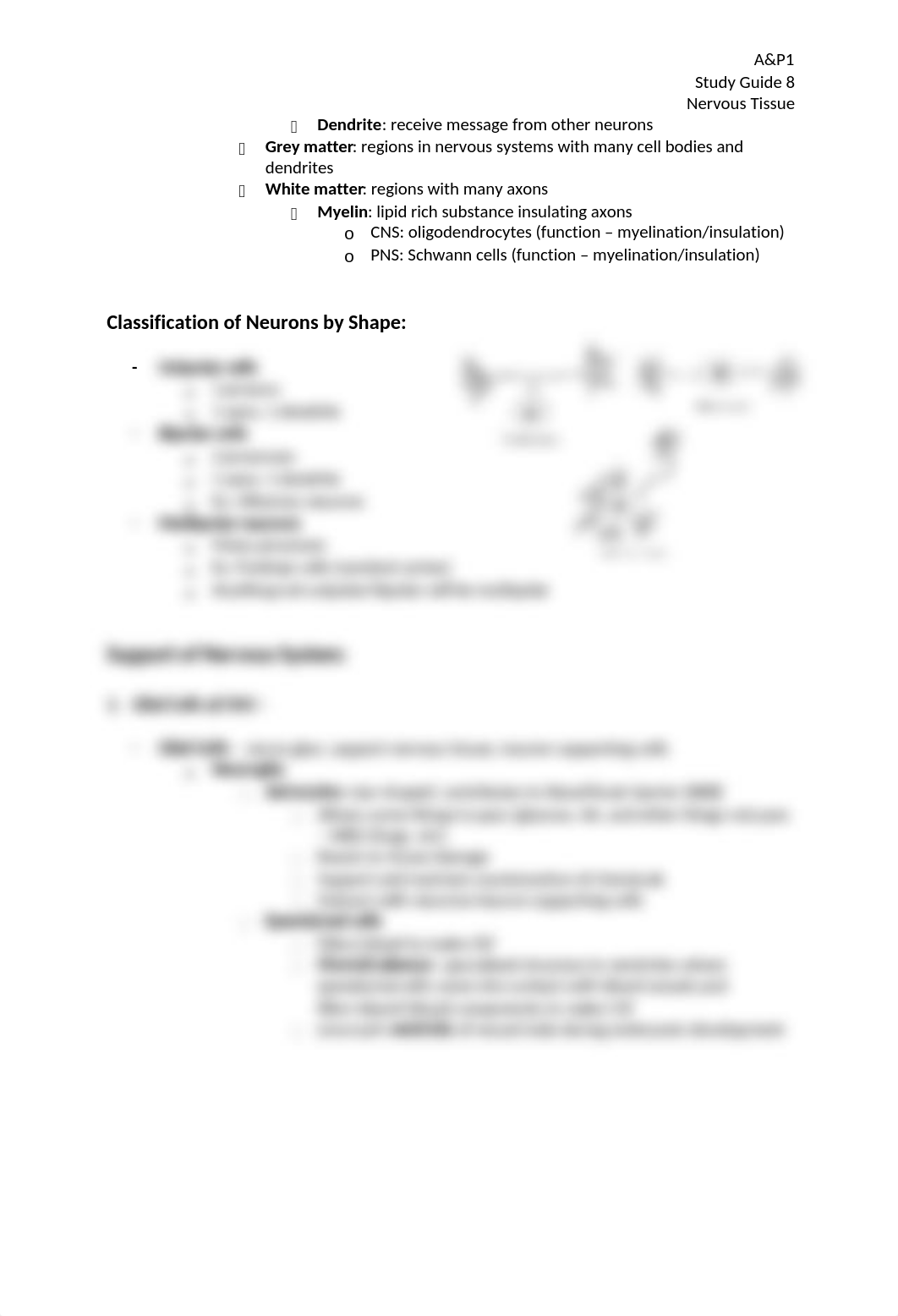 Study-Guide-8-Nervous-Tissue (2).docx_dzf52cumrjo_page2