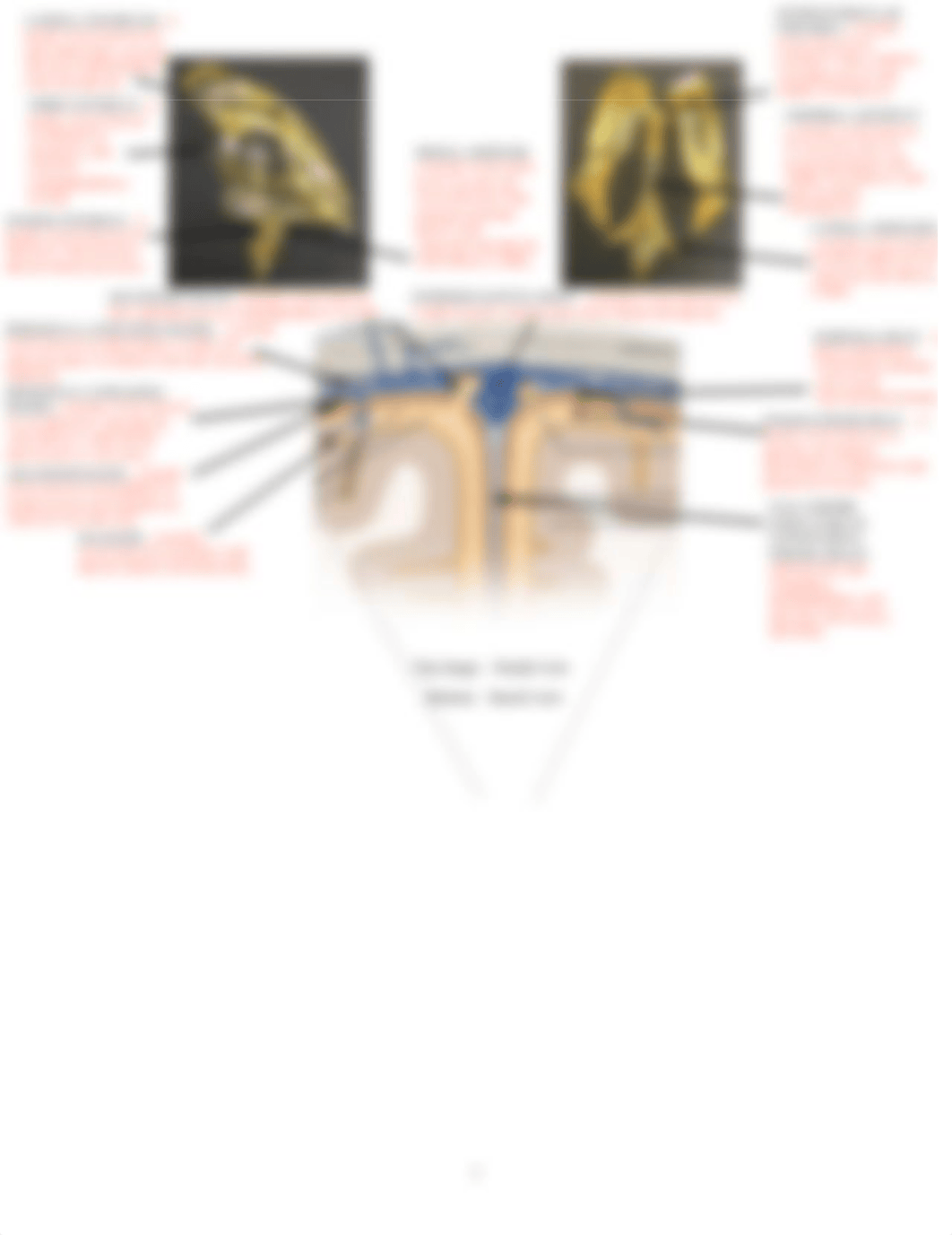 Biology 201 Assignment 9.pdf_dzf5clrgq0o_page2