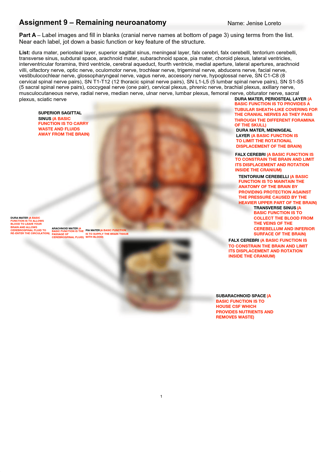 Biology 201 Assignment 9.pdf_dzf5clrgq0o_page1