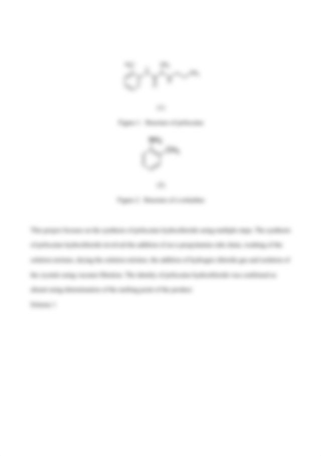 Multi-Step of Prilocaine Hydrochloride.docx_dzfa68mxknw_page2