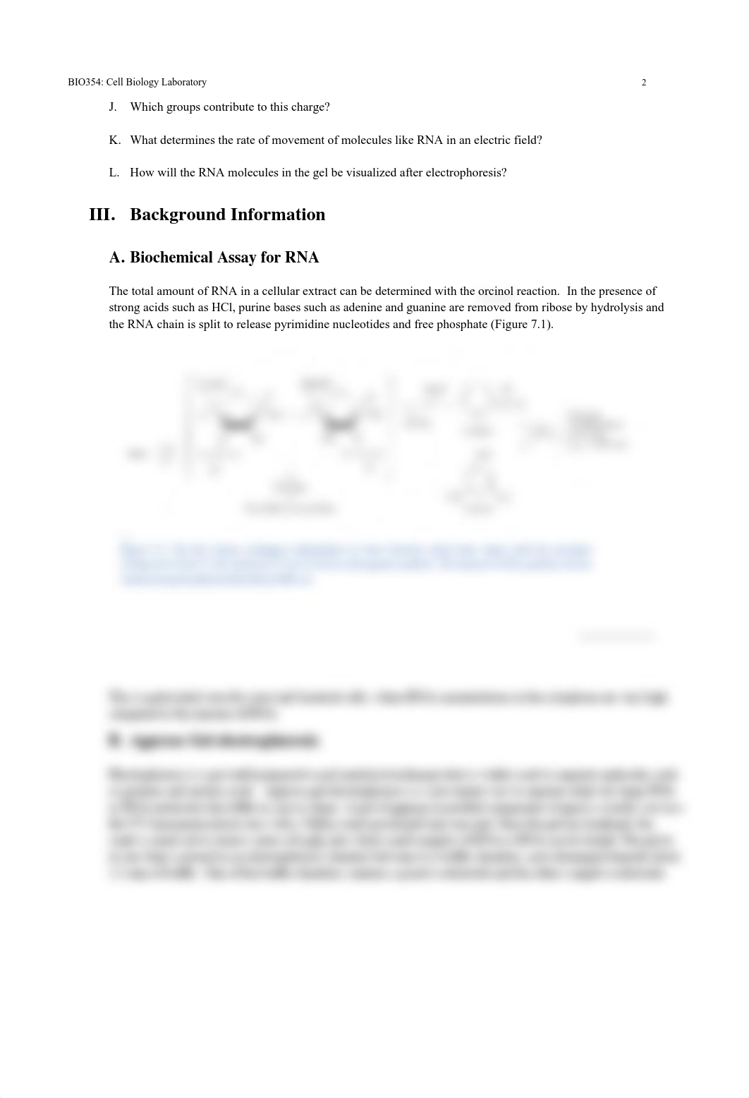 Lab 7 Document.pdf_dzfcazdsxt5_page2