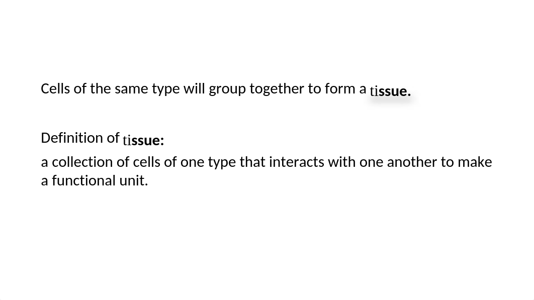 4 Types of Tissue.pptx_dzff6b761ai_page3