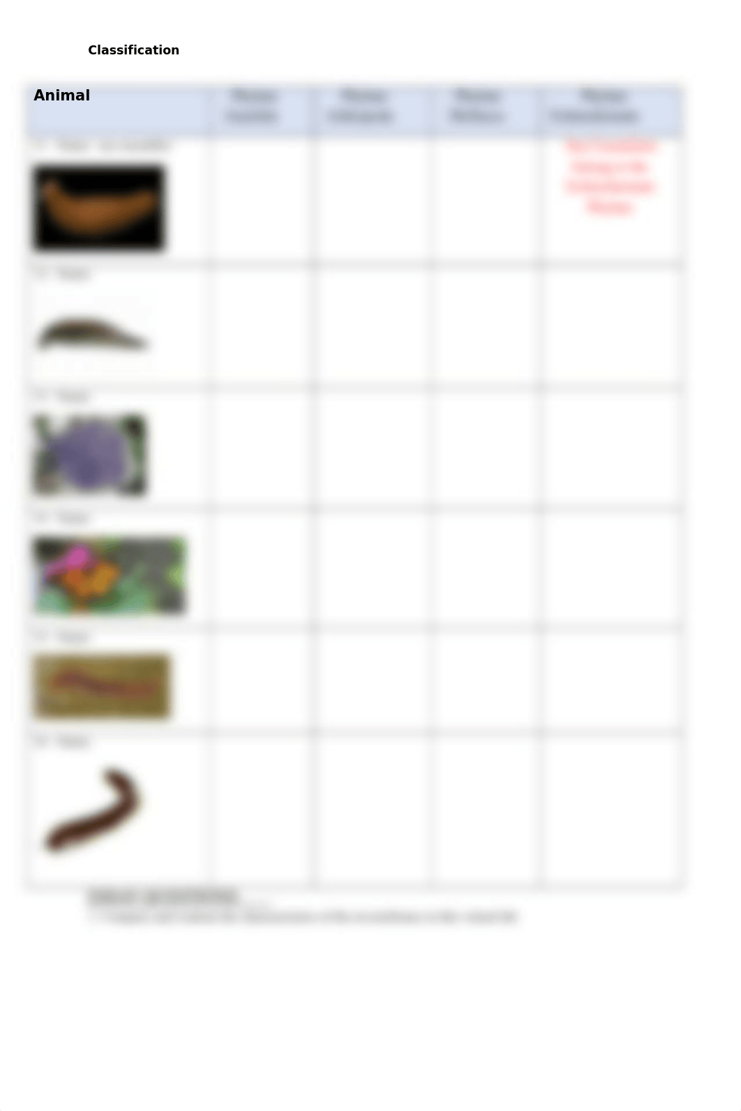 Classification of  Mollusks, Arthropods, Worms, and Echinoderms.docx_dzfgvip19j3_page4