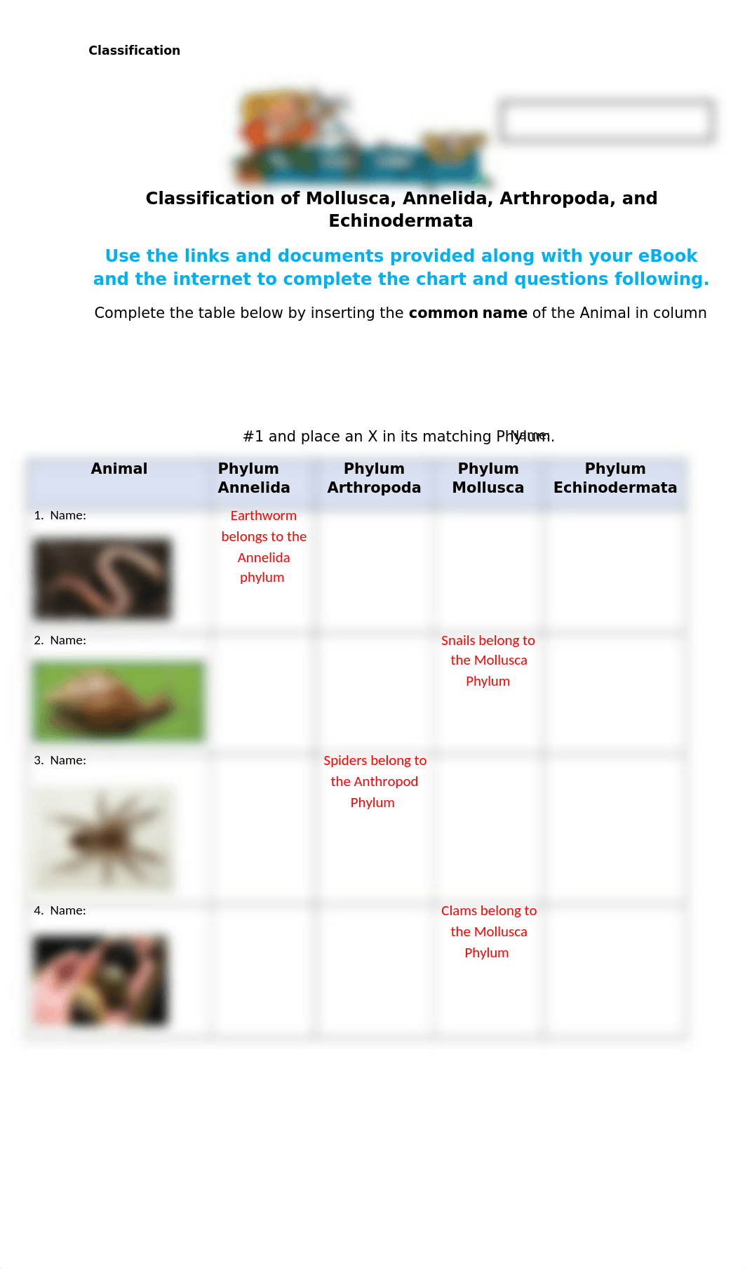 Classification of  Mollusks, Arthropods, Worms, and Echinoderms.docx_dzfgvip19j3_page1