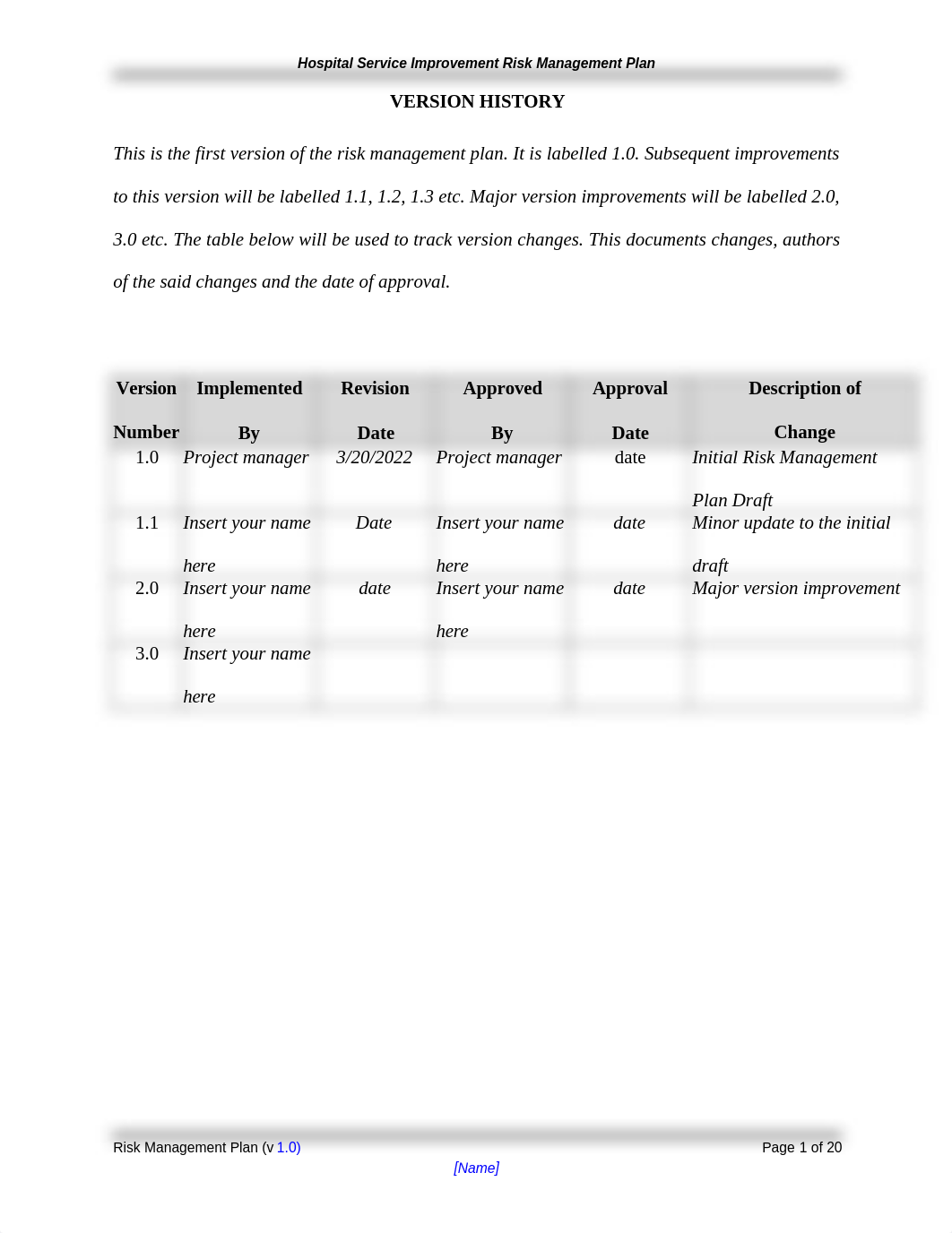 Hospital Improvement Risk Management Plan.doc_dzfjbnn7s5g_page2