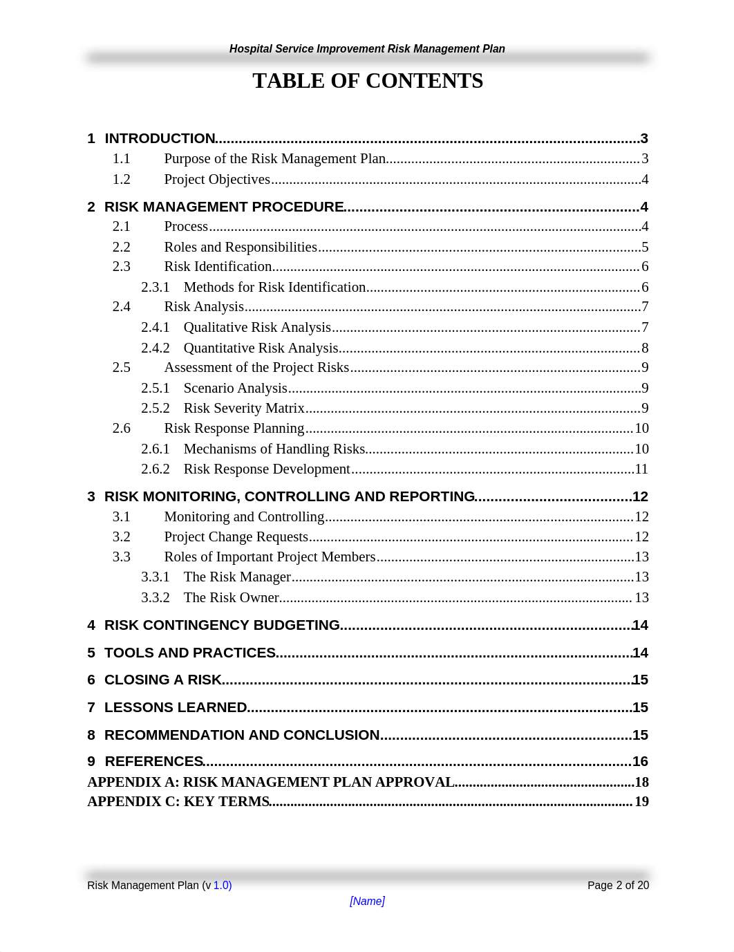 Hospital Improvement Risk Management Plan.doc_dzfjbnn7s5g_page3