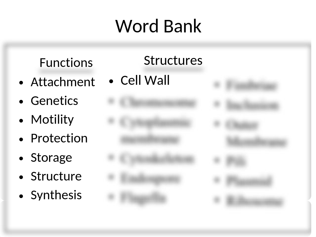 Prokaryotic Cell Structure - Concept Map.pptx_dzfn8uet8l3_page2