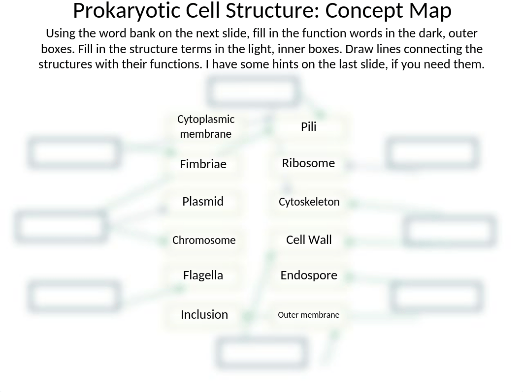 Prokaryotic Cell Structure - Concept Map.pptx_dzfn8uet8l3_page1