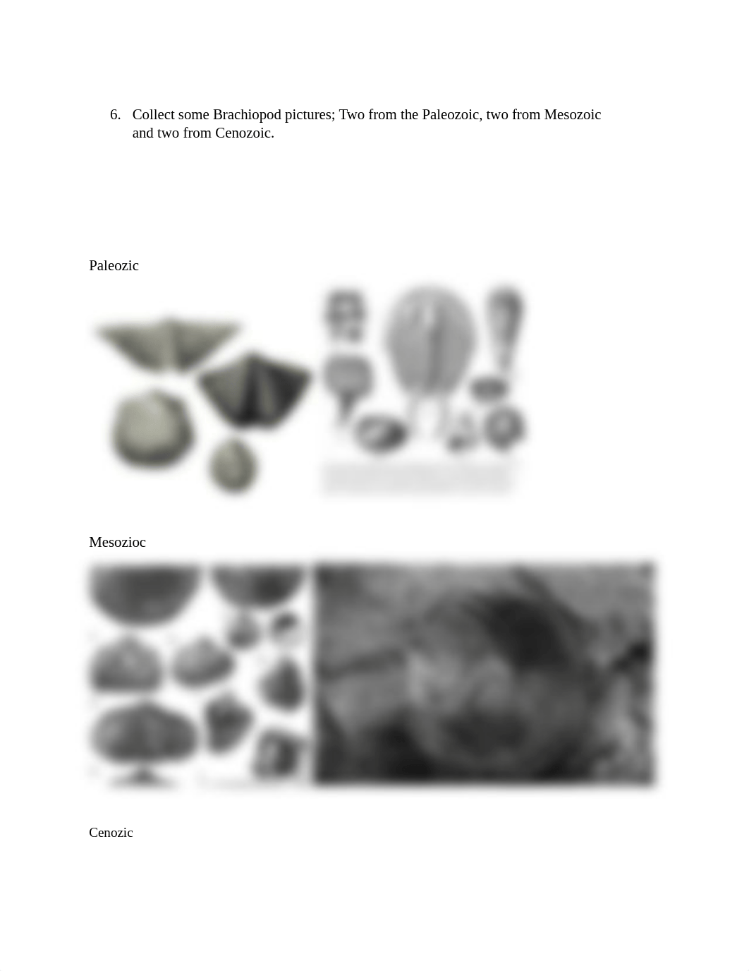 Fossil Lab 2 (1)-1.docx_dzfp2e45p0d_page2