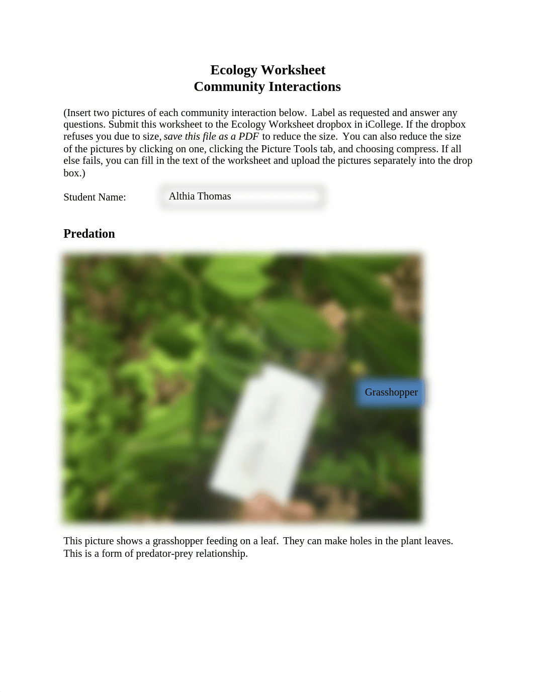 ecologyworksheet.docx_dzg0ono3gyw_page1