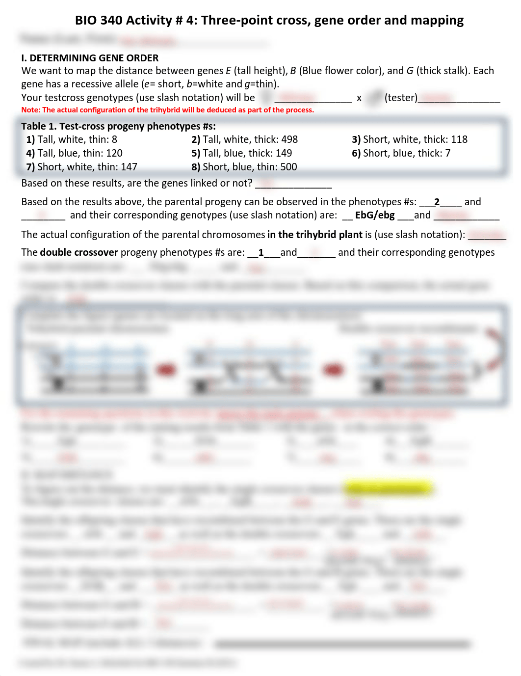 BIO 340 Activity #4 - Michayla Hart.pdf_dzg7oeongdo_page1