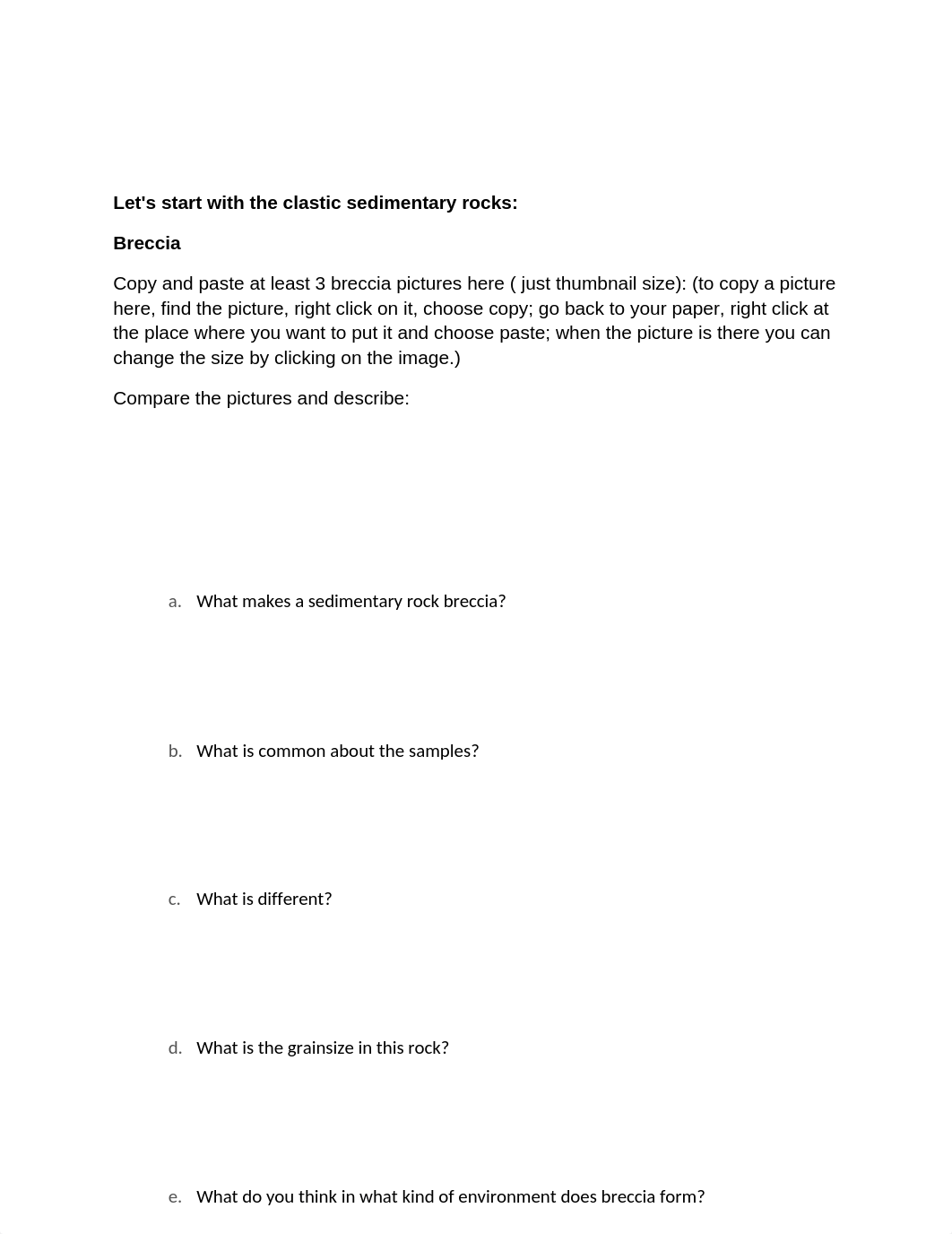 Sedimentary rock lab (1).docx_dzgjavufsn4_page2