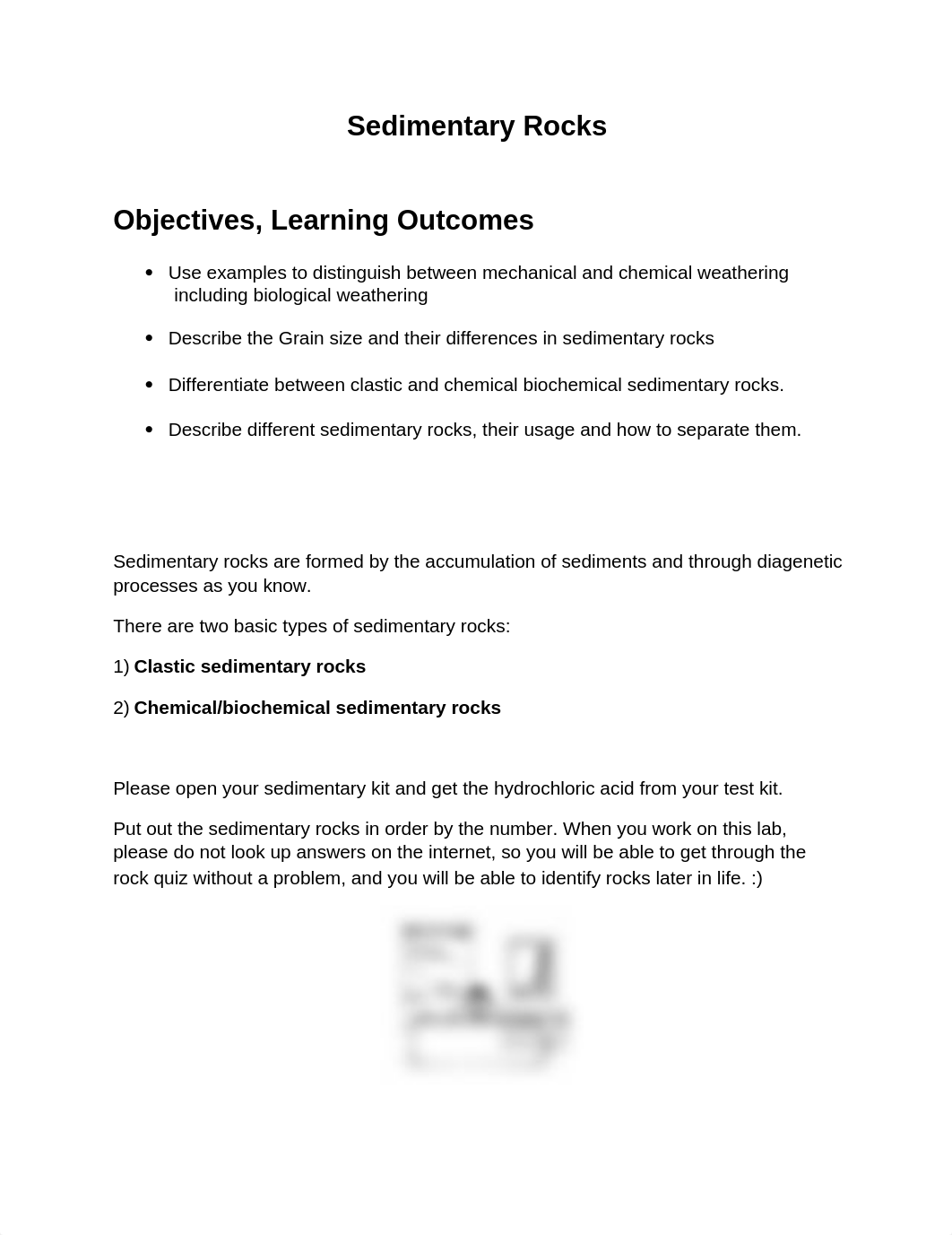 Sedimentary rock lab (1).docx_dzgjavufsn4_page1