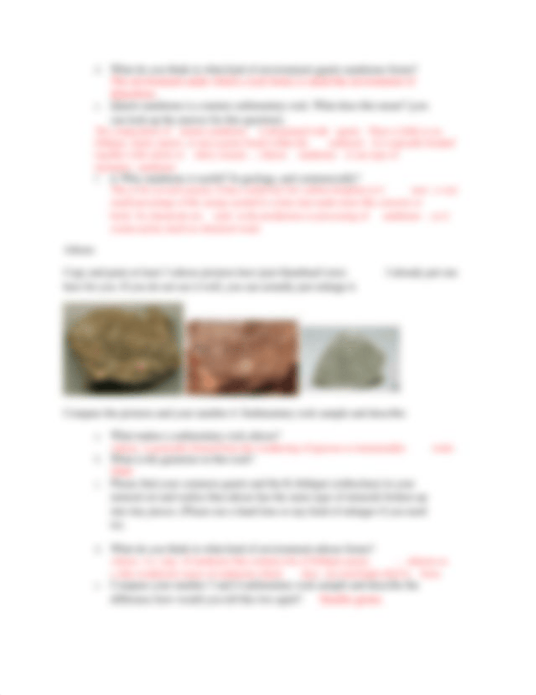 Sedimentary rock lab (1).docx_dzgjavufsn4_page4