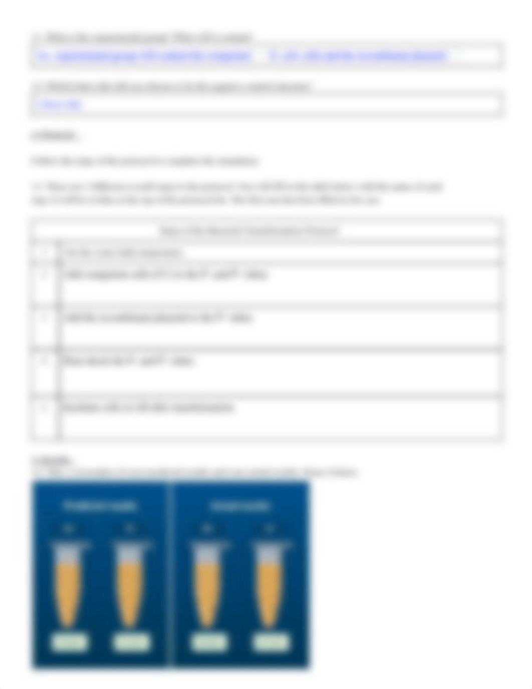 Copy of Bacterial Transformation Virtual lab (1).pdf_dzgq3p1kff9_page3