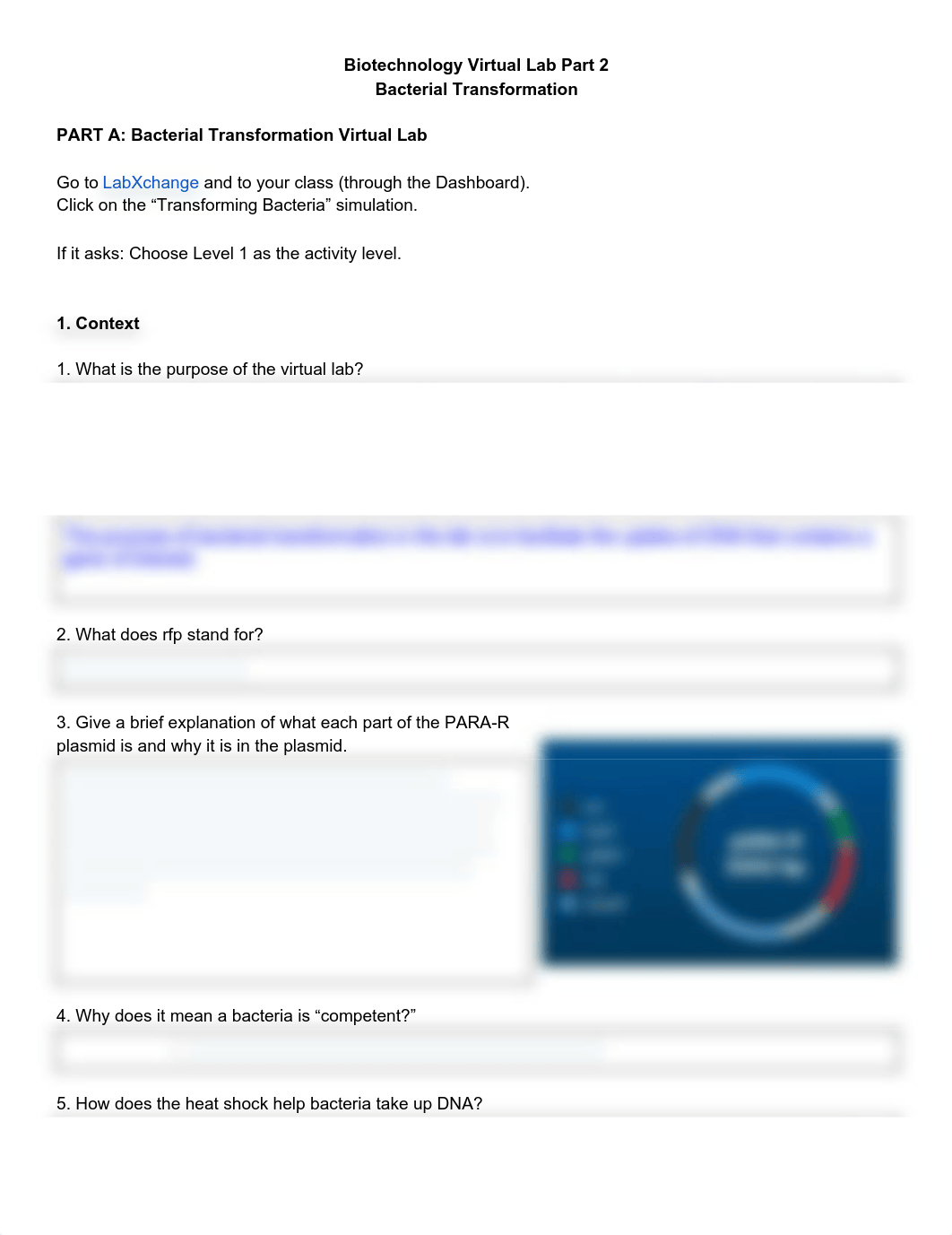 Copy of Bacterial Transformation Virtual lab (1).pdf_dzgq3p1kff9_page1