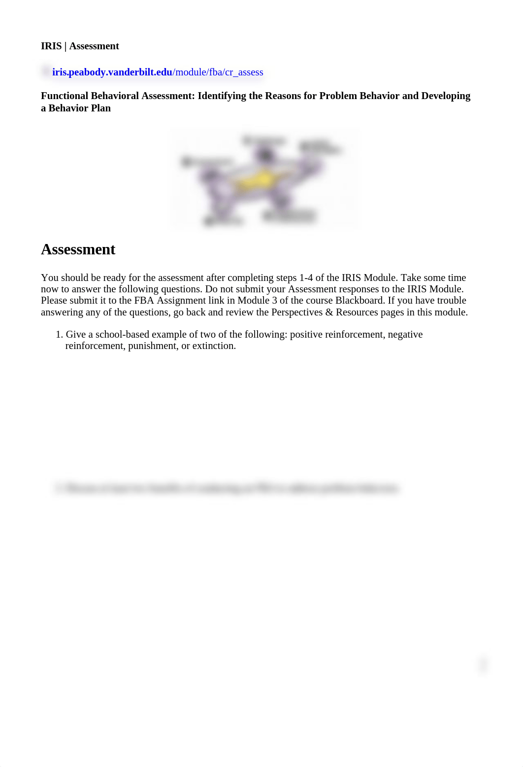 IRIS FBA Assessment.docx_dzgshnozrjq_page1