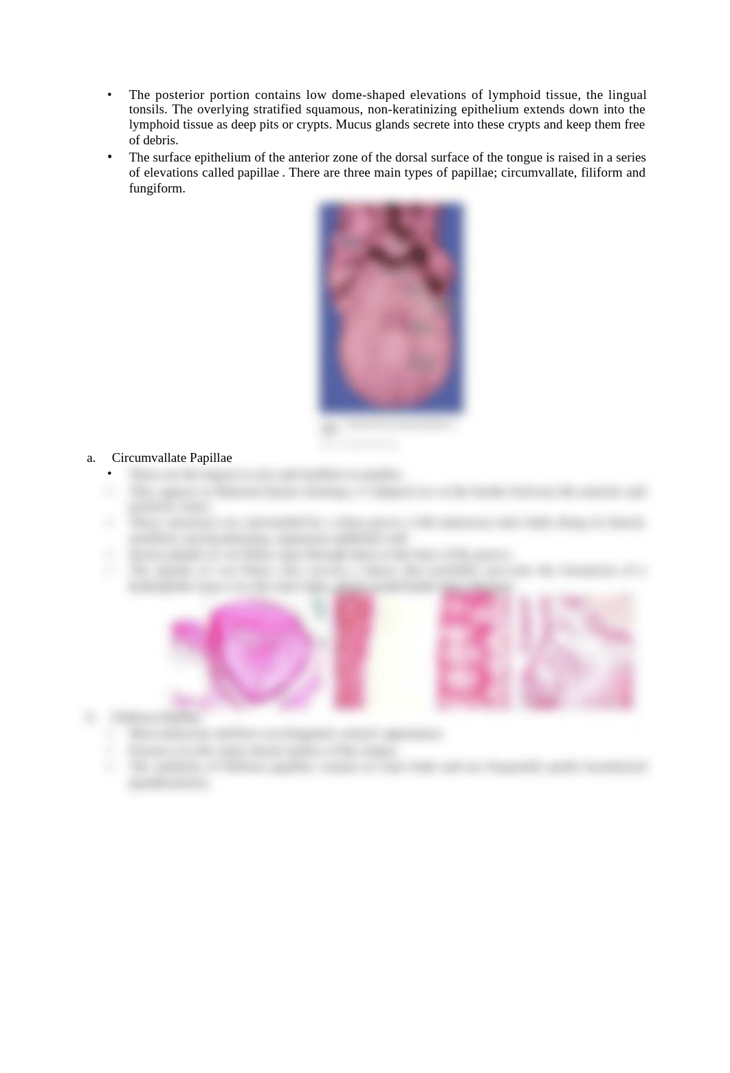 2010 ORAL AND NASAL CAVITIES Complete +lab_dzh6fhy346q_page2