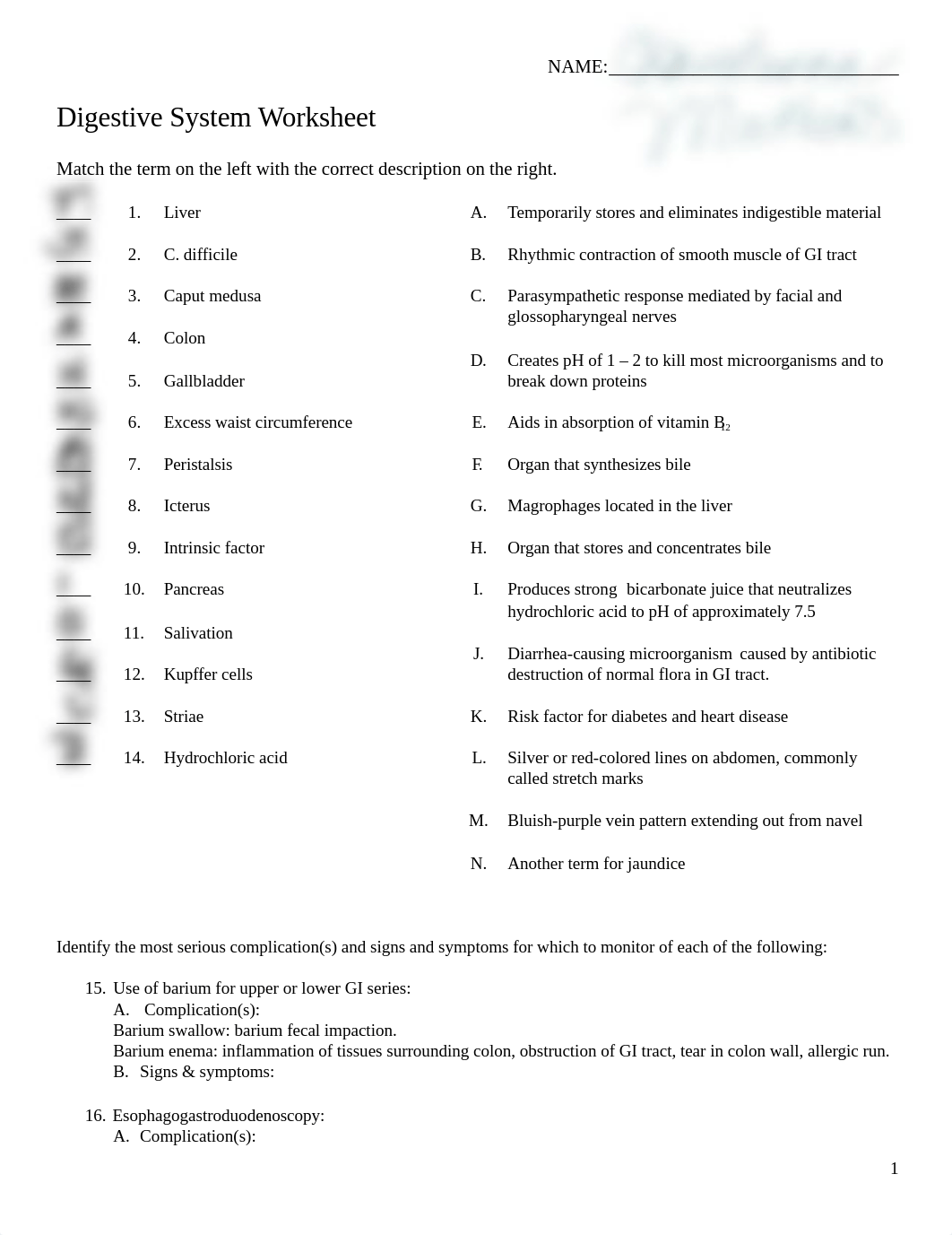 Digestive System Worksheet (1).docx_dzhr4ap0z00_page1