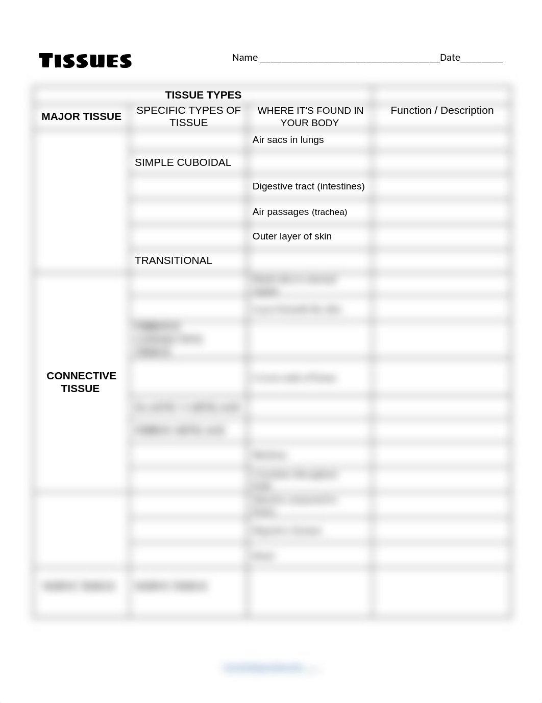 Copy of Tissues Chart .docx_dzhr7cimztc_page1